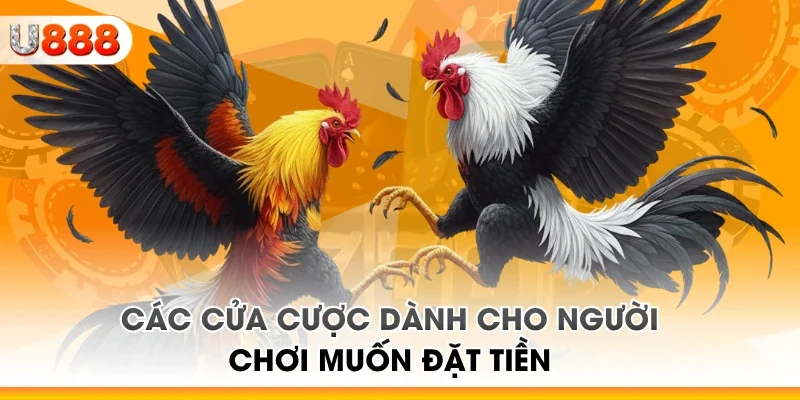 Các cửa cược dành cho người chơi muốn đặt tiền