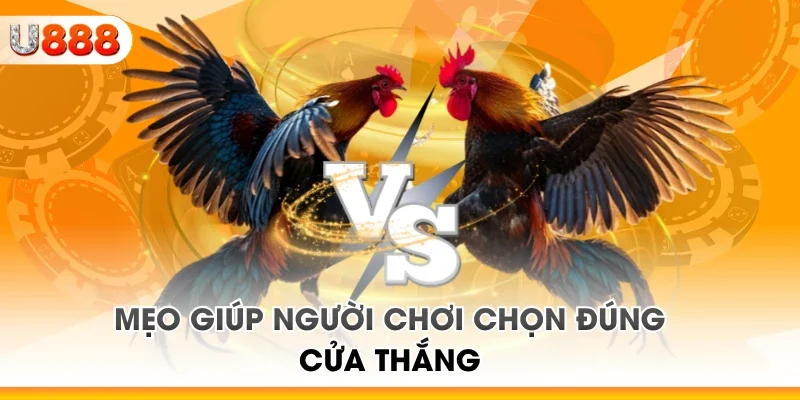 Mẹo giúp người chơi chọn đúng cửa thắng