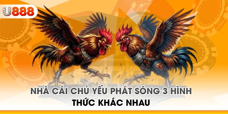Nhà cái chủ yếu phát sóng 3 hình thức khác nhau